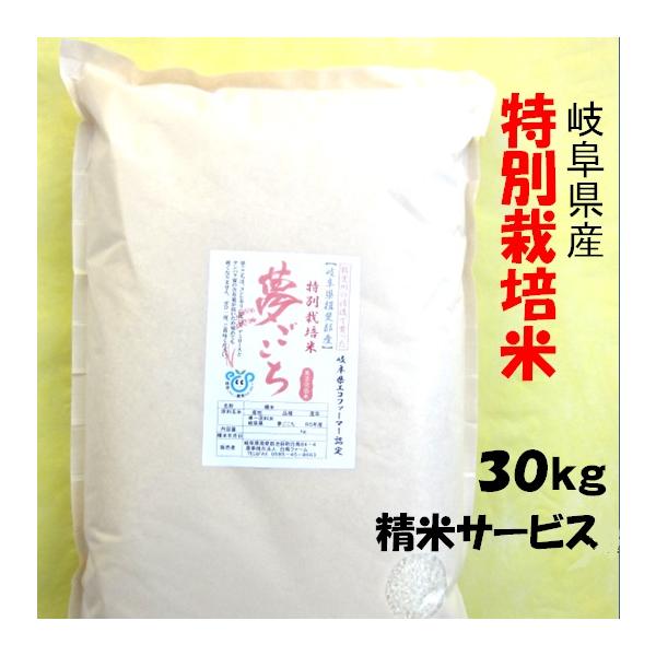 令和７年産 お米 特別栽培米 岐阜県産 夢ごこち 玄米30Kg（10kg×3）精米サービス 【送料無料】北海道 沖縄 離島は追加送料