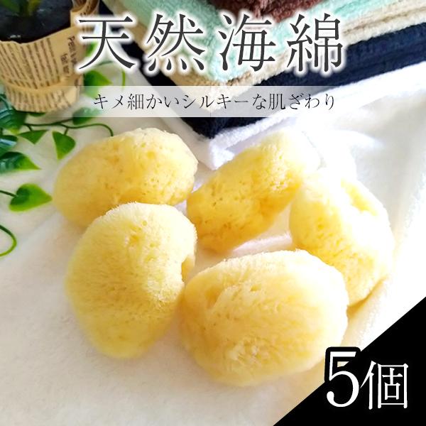 大地の恵み、海草からなる天然スポンジ「海綿」が登場しました。吸収率が高いので、ピンポン玉サイズに切ってお使い下さい。
