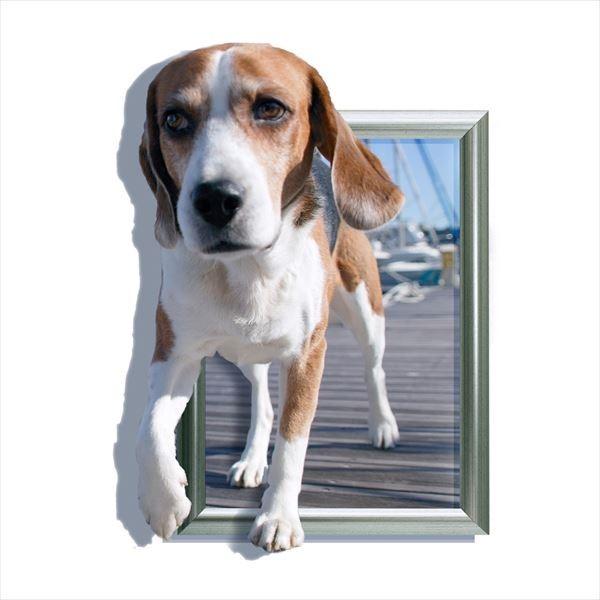ウォールステッカー トリック アート 3d 犬 オーダーメイド トリックアートシリーズ シール はがせる 壁紙 防水 B シルキーウォールステッカー専門店 通販 Yahoo ショッピング