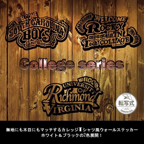 転写式 カレッジシリーズ ウォールステッカー シール カッティングシート ウォールペーパー はがせる 壁紙 壁シール 透けない 英語 カレッジ Ws 7 シルキーウォールステッカー専門店 通販 Yahoo ショッピング