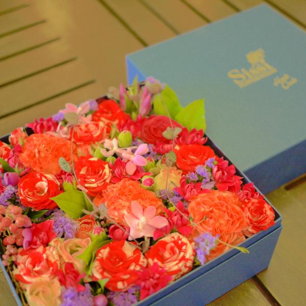 SissiIWit[{bNX LTCY`@j a  t[ Mtg v[g hV̓ JXj 