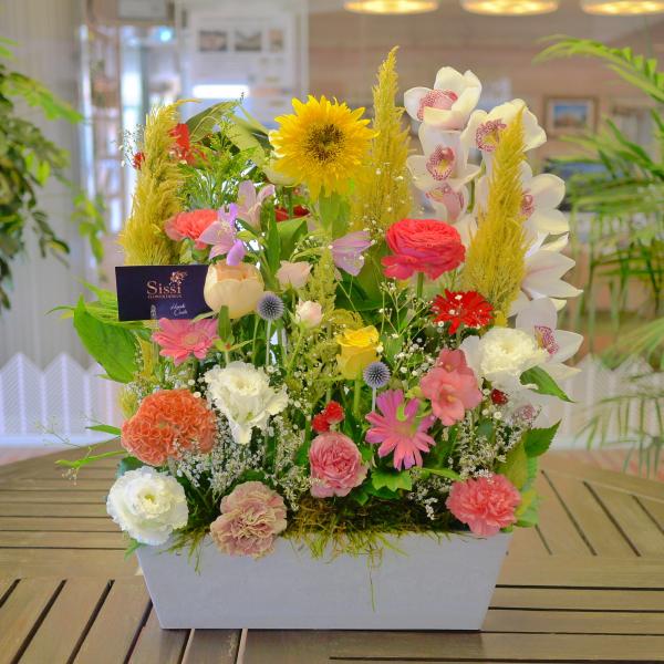 s}̃pM j a  t[ Mtg v[g@̓@ hV̓ JXj @@