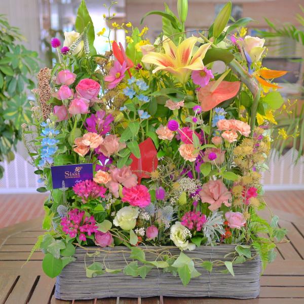 s}̃pL@j a  t[ Mtg v[g@̓@ hV̓ JXj @@