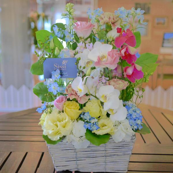 s}̃pS@ j a  t[ Mtg v[g@̓@ hV̓ JXj @@