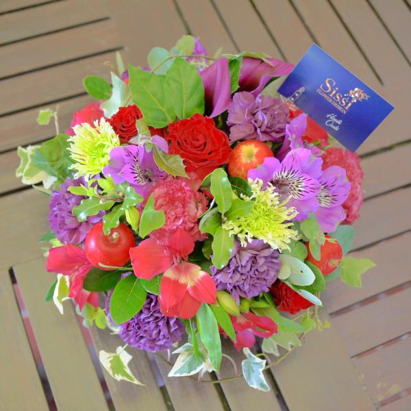 EhAWgL j a  t[ Mtg v[g ̓@hV̓ JXj@@@