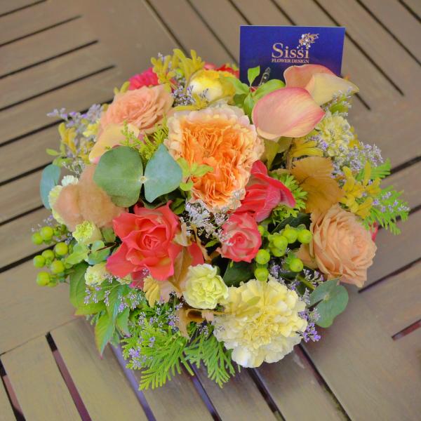 EhAWgM j a  t[ Mtg v[g ̓@hV̓ JXj@@@ 