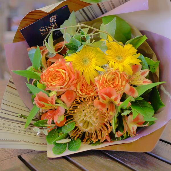 Ehu[PS@j a  t[ Mtg v[g ̓@hV̓ JXj @@