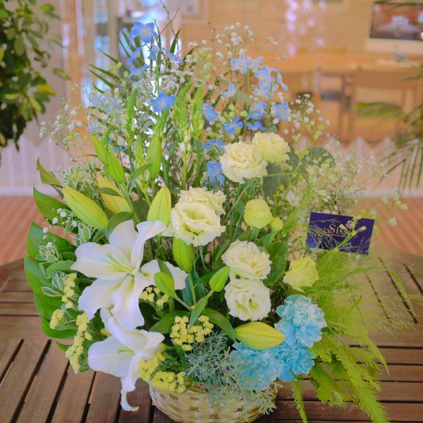 X^_[gAWgL j a  t[ Mtg v[g ̓@hV̓ JXj@@@ 