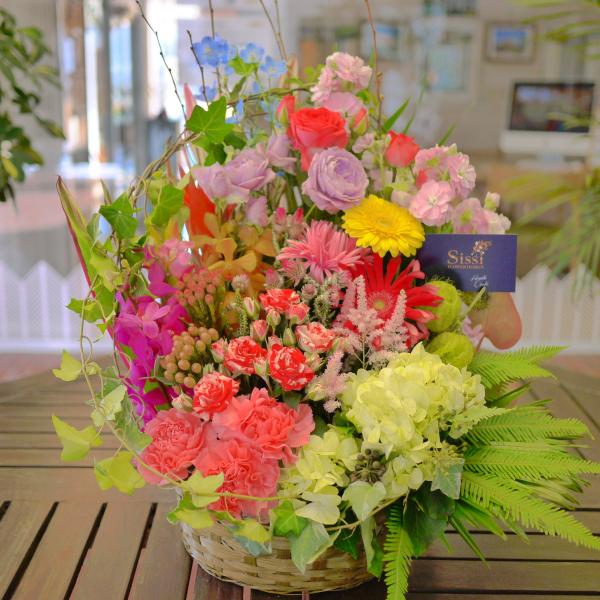 X^_[gAWgLLj a   t[ Mtg v[g ̓@hV̓ JXj@@@ 