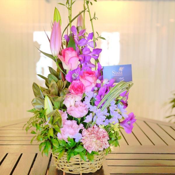 X^_[gAWgS j a  t[ Mtg v[g ̓@hV̓ JXj@@@@