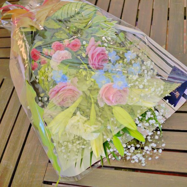 X^_[gԑM@j a  t[ Mtg v[g ̓@hV̓ JXj 