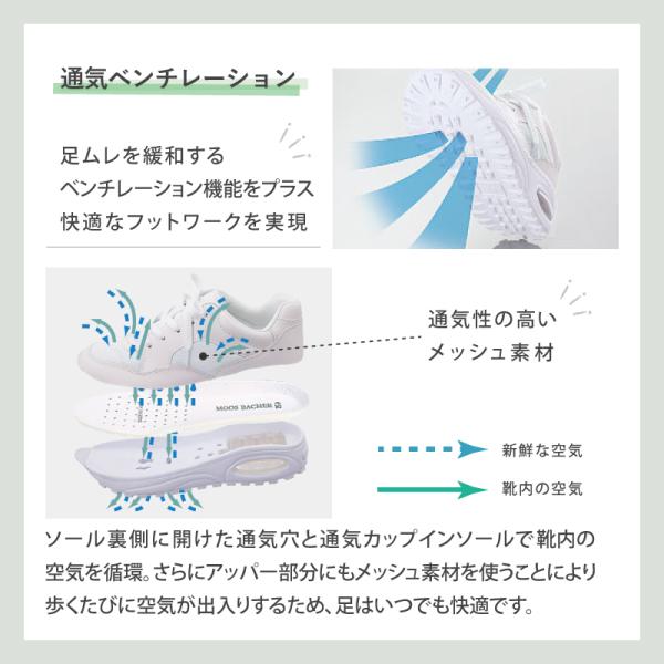 �i�[�X�V���[�Y ���ɂ��� �� �N�[�� 340N �Ō�t ���m �x���`���[�V���� �J�b�v�C���\�[�� �j�����p ���X���[���h �a�@ ��� ���i�摜2