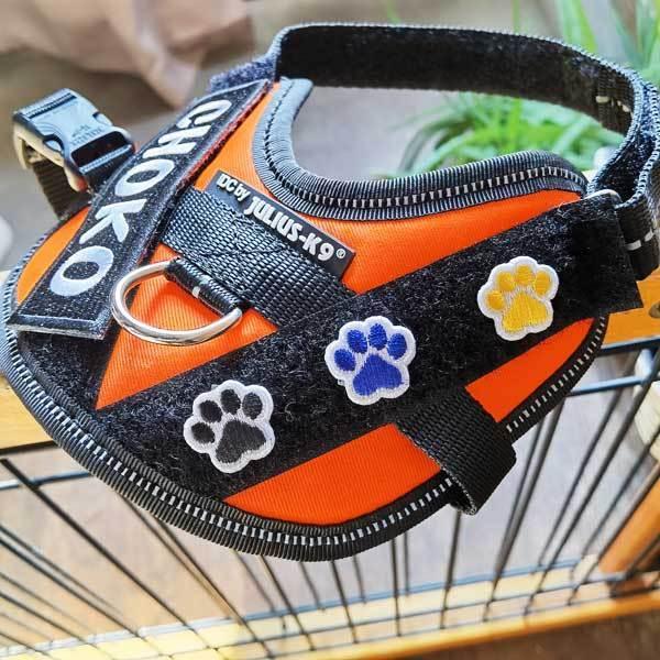 肉球 ワッペン S 3枚セット 刺繍 mini 足跡 ユリウス ハーネス