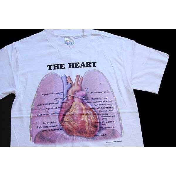 Hanes デッドストック☆90s Anatomical Chart Co. THE HEART Hanes デッドストック☆90s Anatomical Chart Co. THE HEART