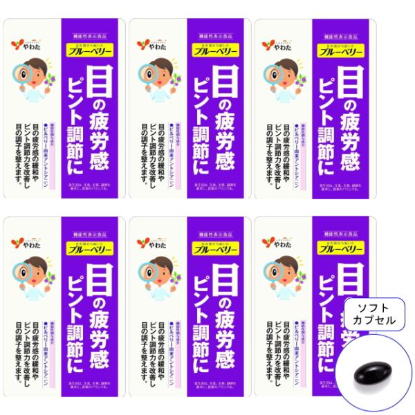 6袋セットが10％OFF！機能性関与成分「ビルベリー由来アントシアニン」を1日目安1粒中に60mg配合。商品名 ： やわた 北の国から届いた ブルーベリー 30日分／6袋セット 機能性表示食品 ビルベリー アントシアニン 目 サプリ 眼精疲...