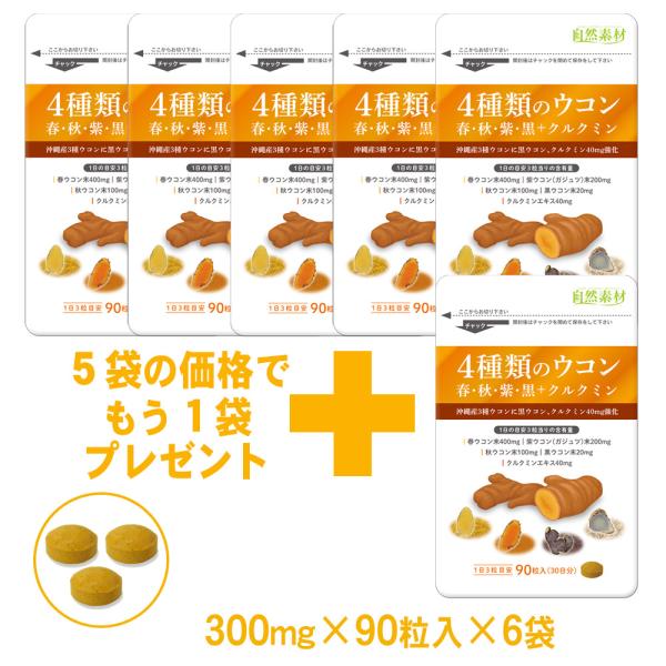 4種類のウコン 90粒入×6袋セット（約6ヶ月分） 春ウコン 秋ウコン 紫ウコン 黒ウコン 配合 クルクミン40mg強化 錠剤タイプ サプリメント 大日ヘルシーフーズ
