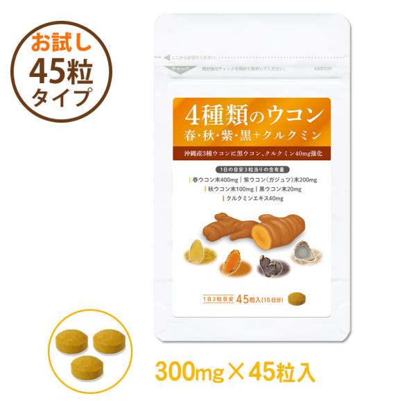 肝源ウコン 45粒入×1袋 （約15日分）春ウコン 秋ウコン 紫ウコン 黒ウコン 配合 クルクミン40mg強化 錠剤タイプ サプリメント 大日ヘルシーフーズ