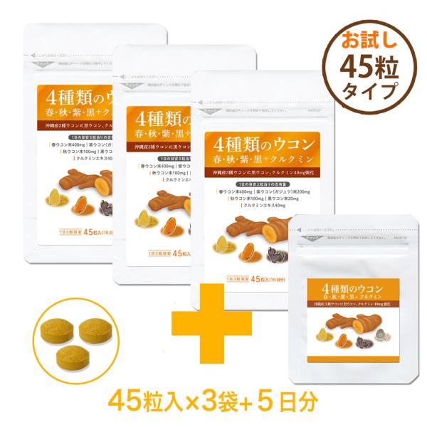 肝源ウコン 1袋45粒入 ハーフタイプ 3袋（45日分）+５日分増量 秋 春 紫 黒ウコンの４種ウコン配合 クルクミン40mg 大日ヘルシーフーズ
