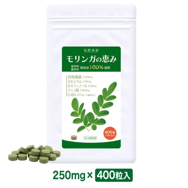 モリンガ サプリ 100% サプリメント モリンガの恵み 400粒入 1袋 100日分 保存料 着色料 無添加 美容 健康 大日ヘルシーフーズ