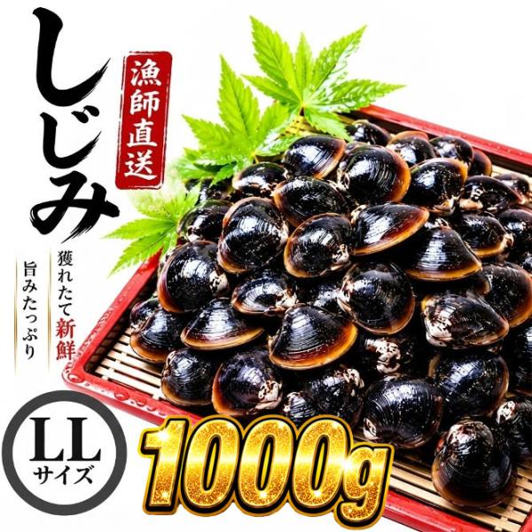 しじみ 冷凍 LL 1Kg 宍道湖産 シジミ 砂抜き済み シジミ汁 しじみ汁 味噌汁 お吸い物 具 大和しじみ 国産 天然 健康 貝 漁師直送 新鮮 島根県 出雲しじみ庵