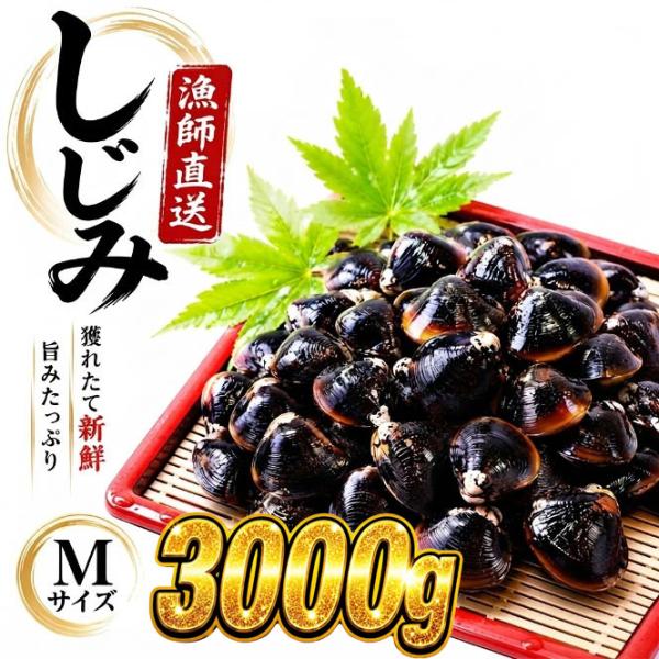 しじみ 冷凍 M 3Kg 宍道湖産 シジミ 砂抜き済み シジミ汁 しじみ汁 味噌汁 お吸い物 具 大和しじみ 国産 天然 健康 貝 漁師直送 新鮮 島根県 出雲 しじみ庵