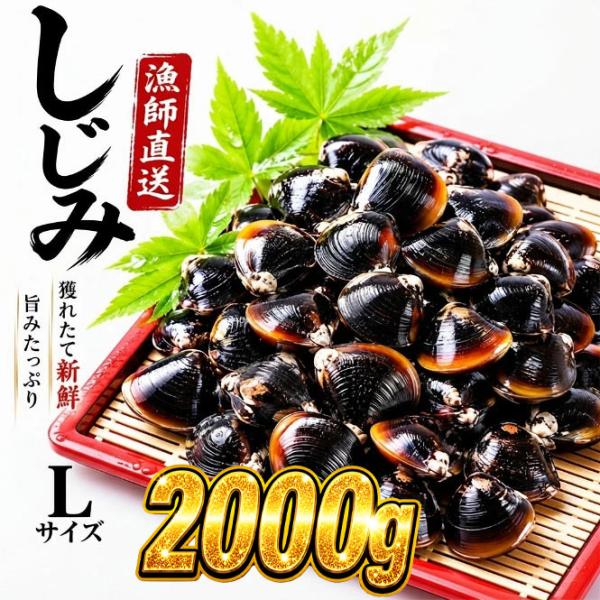 しじみ 冷凍 L 2Kg 宍道湖産 シジミ 砂抜き済み シジミ汁 しじみ汁 味噌汁 お吸い物 具 大和しじみ 国産 天然 健康 貝 漁師直送 新鮮 島根県 出雲 しじみ庵