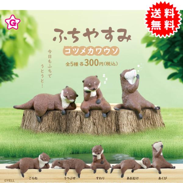 【南カワウソふれあいセンター】コンブチャク 南カワウソふれあいセンター様専用セット 【公式通販】