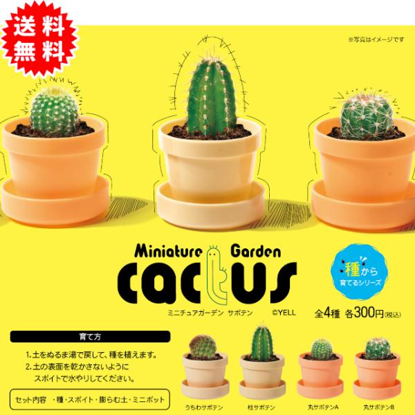 YELL ミニチュアガーデン サボテン 全4種 コンプリート カプセル入り