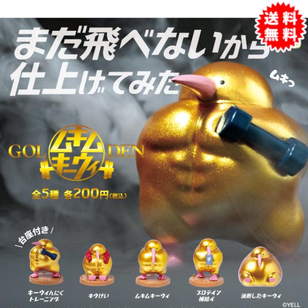 GOLDENムキムキーウィ 全5種コンプリート カプセル入り ガチャガチャ がちゃがちゃ カプセルトイ エール ガチャ ガチャ コンプリート