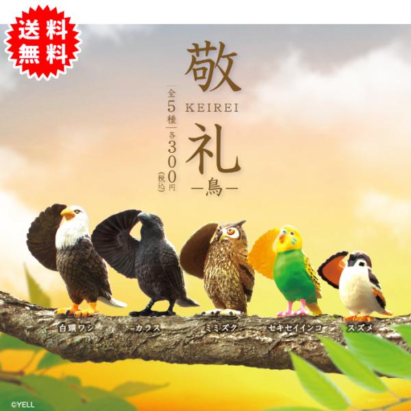 敬礼〜鳥〜 全5種コンプリート カプセル入り ガチャガチャ がちゃがちゃ カプセルトイ エール ガチャ ガチャ コンプリート