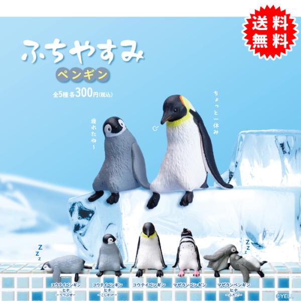 ふちやすみ ペンギン 全5種コンプリート カプセル入り ガチャガチャ がちゃがちゃ カプセルトイ エール ガチャ ガチャ コンプリート