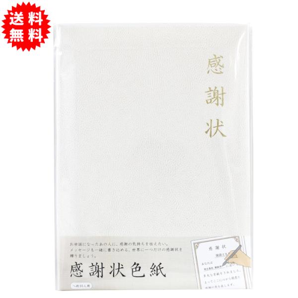 寄せ書き色紙 感謝状色紙 〜約30人用