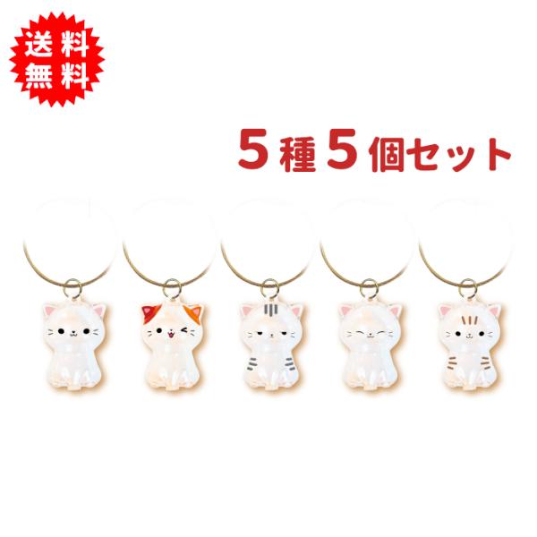 にゃんこのタイムカプセル 5種5個セット 毛玉 けだま 愛猫の毛の入れ物 ねこちゃん