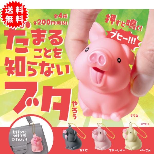 だまることを知らないブタ 全4種コンプリート カプセル入り ガチャガチャ がちゃがちゃ カプセルトイ エール ガチャ ガチャ コンプリート