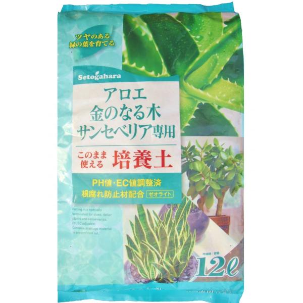 AG@̐؁@TZxAp|{y@12L