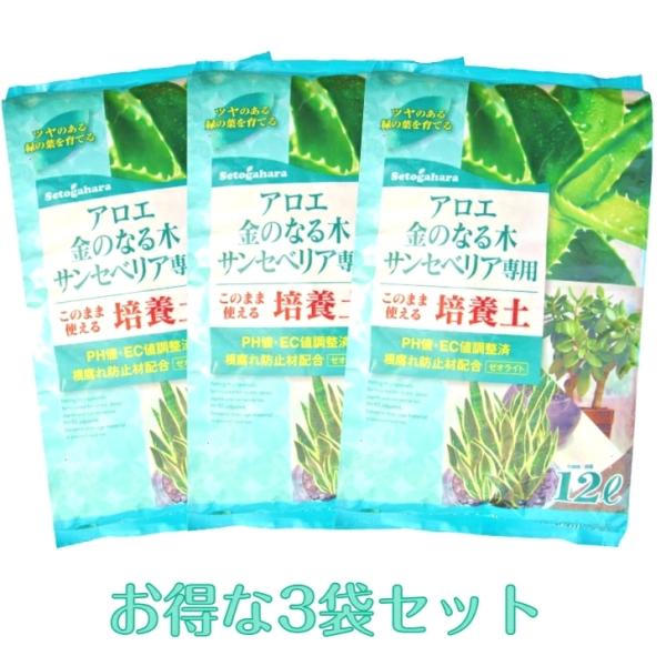 AG@̐؁@TZxAp|{y@12L×R܁@ȂR܃Zbg