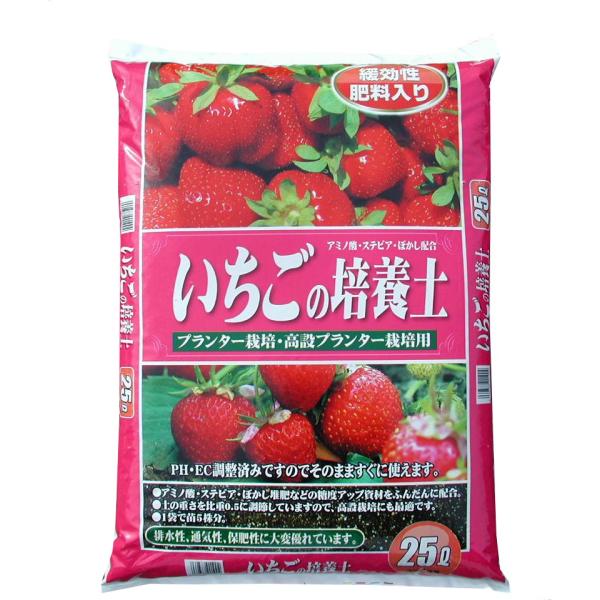 @Â@v^[͔|@̔|{y@25L