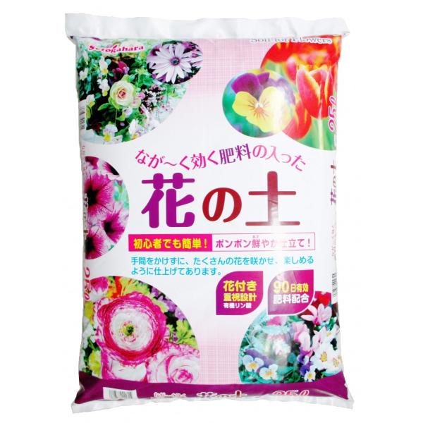 ̓@v[g@K[fjO@Ԃ̓y@S҂łȒP@@엿̓Ԃ̓y@25L