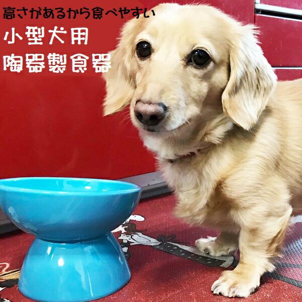 スケーター 陶器製 小型犬用食器ミント（ブルー）陶器 陶製 犬 ペット用食器  大阪公立大学との共同開発