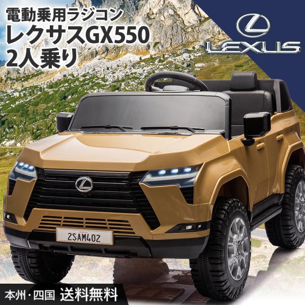 Dogと2人乗りも楽しいLauakai 11&#39;6&#39;&#39; 送料込 Dogと2人乗りも楽しいLauakai 11'6'' 送料込
