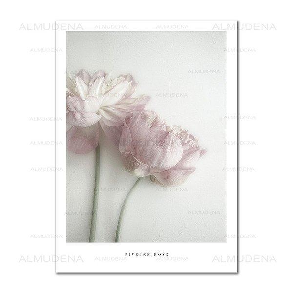 9月限定 ポイント2倍 アートポスター おしゃれ ポスター 絵画 壁 絵 植物 花シリーズ デザインno 2 A3 Ska 2 スケッチ 通販 Yahoo ショッピング