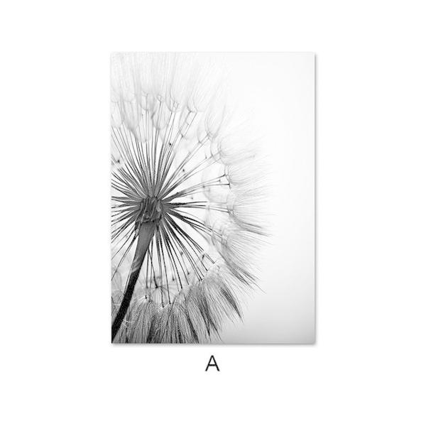 アートポスター アートパネル アートフレーム ポスター インテリア おしゃれ 絵画 モノクロシリーズ タンポポ 種 デザインno A A3 Ska A スケッチ 通販 Yahoo ショッピング