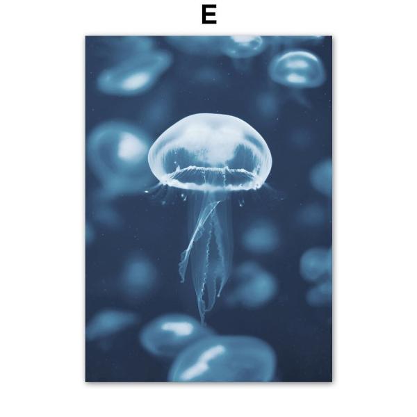 ホワイトフレーム クラゲ アート F 0サイズインテリア雑貨 ホワイトフレーム クラゲ アート F 0サイズインテリア雑貨 ホワイト