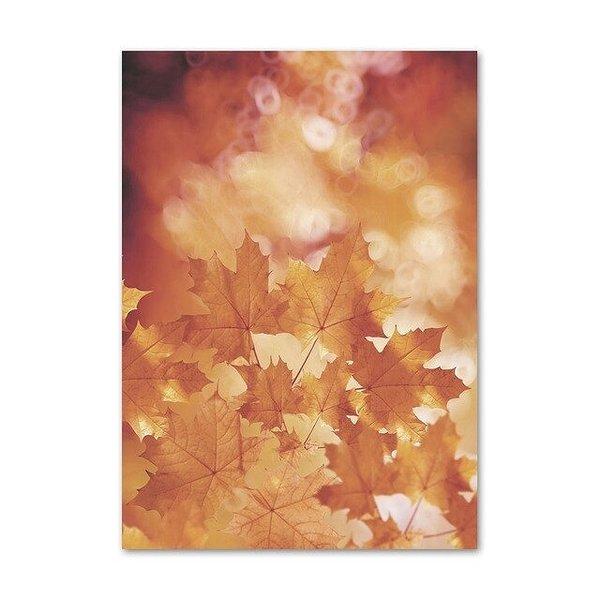 アートポスター おしゃれ ポスター 絵画 壁 絵 秋シリーズ デザインno M A3 9月限定ポイント2倍 Ska M スケッチ 通販 Yahoo ショッピング