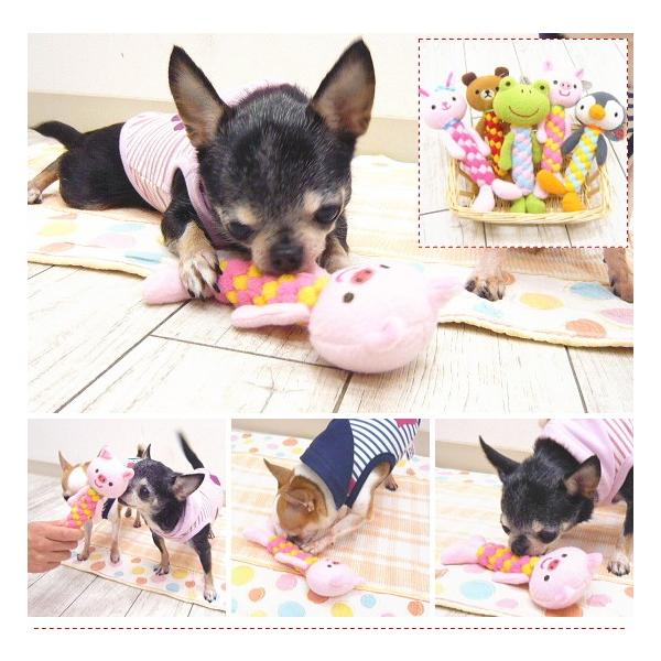 デンタルアニマル 犬 おもちゃ 噛む 歯磨き デンタル ケア トイ ボーン チワワ 小型犬 Buyee Buyee Japanese Proxy Service Buy From Japan Bot Online