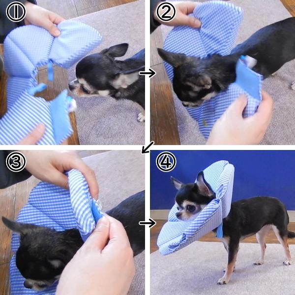 エリザベスカラー ブリリアント ウェブセイラー チワワ 小型犬 ペット 去勢 避妊 手術 介護 Buyee Buyee Japanese Proxy Service Buy From Japan Bot Online