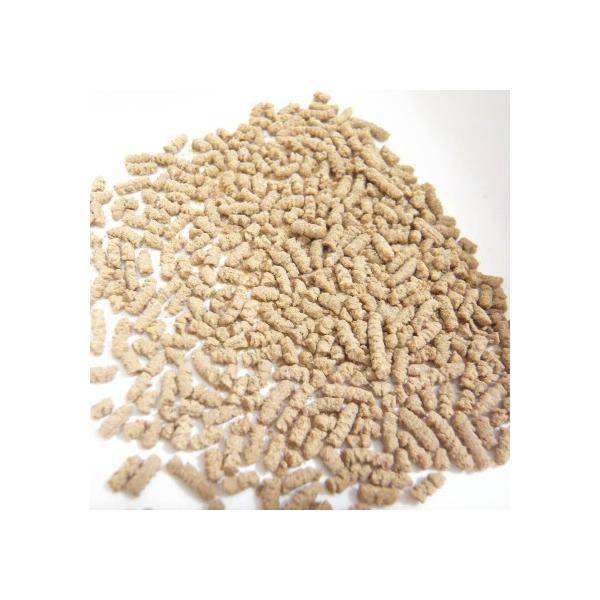 G Bits ジービッツ グルコサミン 顆粒 80g チワワ 小型犬 膝 犬用 サプリメント 膝蓋骨脱臼 関節ケア Buyee Buyee Japanese Proxy Service Buy From Japan Bot Online