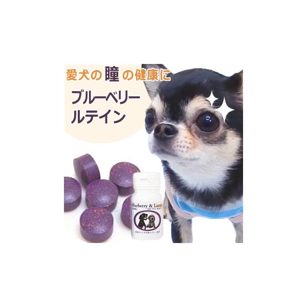 犬用健康管理用品 ルテインの人気商品 通販 価格比較 価格 Com