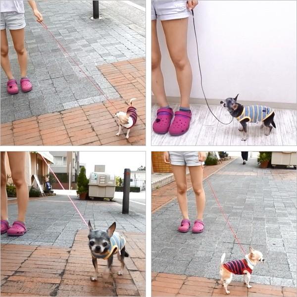 Skipdog シンプルリード 犬 リード チワワ 小型犬 ペット 2594 チワワ専門店スキップドッグ 通販 Yahoo ショッピング