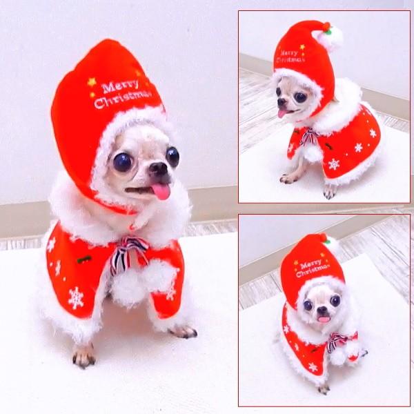 クリスマスケープ 2wayリバーシブル チワワ 小型犬 洋服 ペット服 サンタ クリスマス 5003000021 チワワ専門店スキップドッグ 通販 Yahoo ショッピング